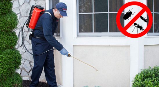 Alaçam Uçan Haşere İlaçlama böcek ilaçlama ve haşere kontrolü — ilaclama-tr.com